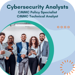 Cybersecurity Analysts